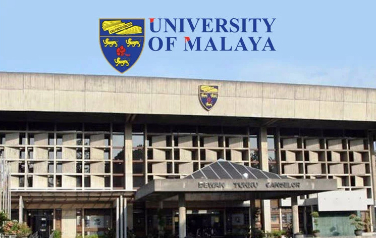 Investigating the Soft Tissue Interface on the PDL